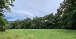Tropical Farmland 21 Acres