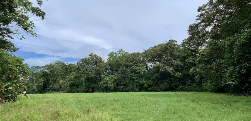 Tropical Farmland 21 Acres