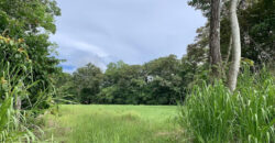 Tropical Farmland 21 Acres