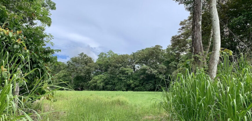 Tropical Farmland 21 Acres