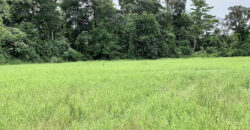 Tropical Farmland 21 Acres