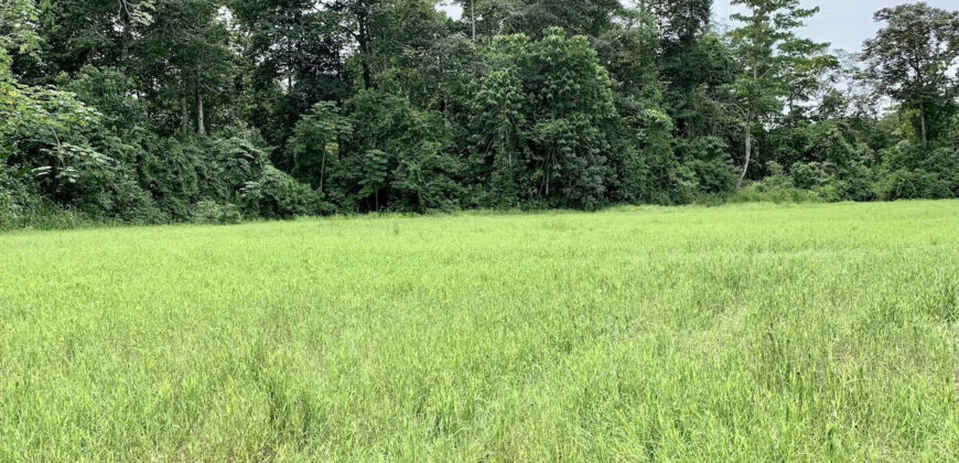 Tropical Farmland 21 Acres