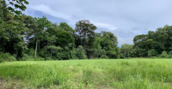 Tropical Farmland 21 Acres