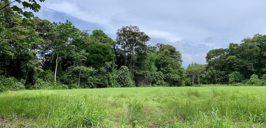 Tropical Farmland 21 Acres