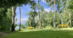 Spectacular Coastal Rainforest Estate Property