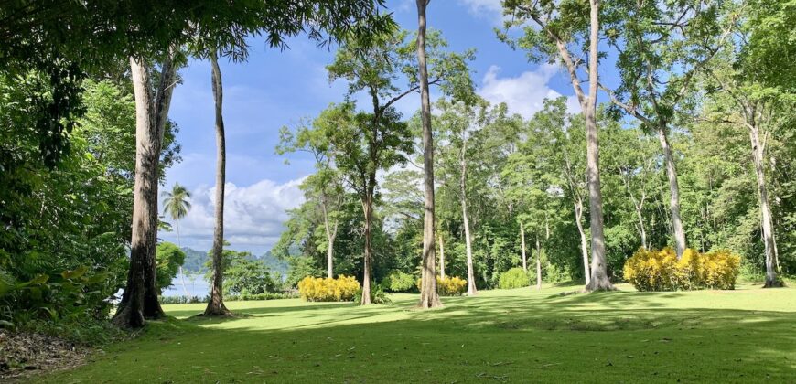 Spectacular Coastal Rainforest Estate Property