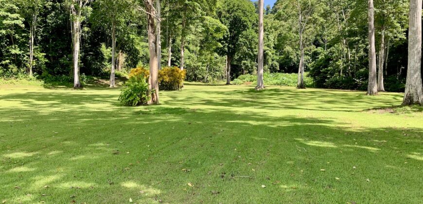 Spectacular Coastal Rainforest Estate Property