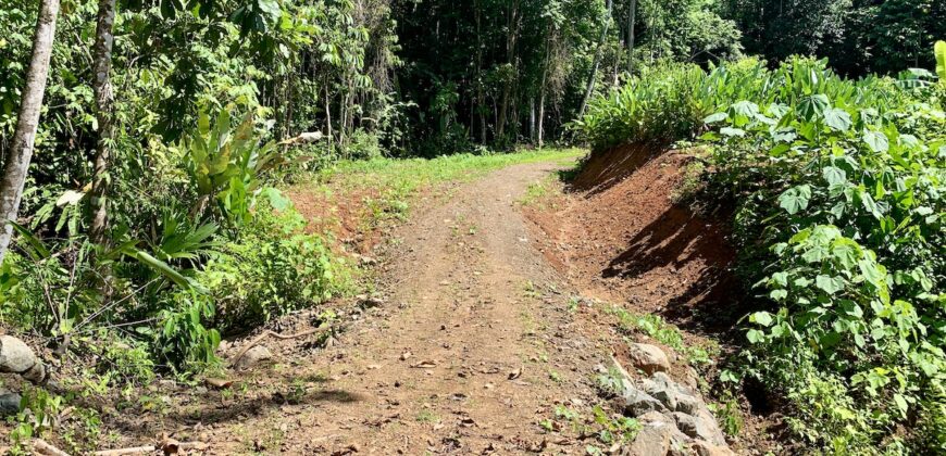 Spectacular Coastal Rainforest Estate Property