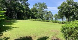 Spectacular Coastal Rainforest Estate Property