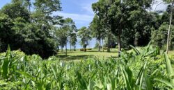 Spectacular Coastal Rainforest Estate Property