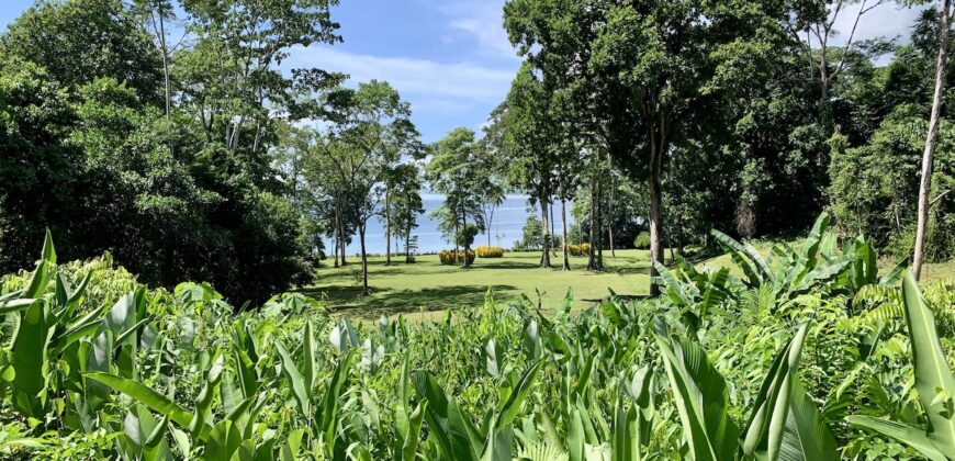 Spectacular Coastal Rainforest Estate Property