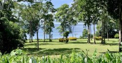 Spectacular Coastal Rainforest Estate Property