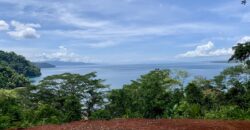 Spectacular Coastal Rainforest Estate Property