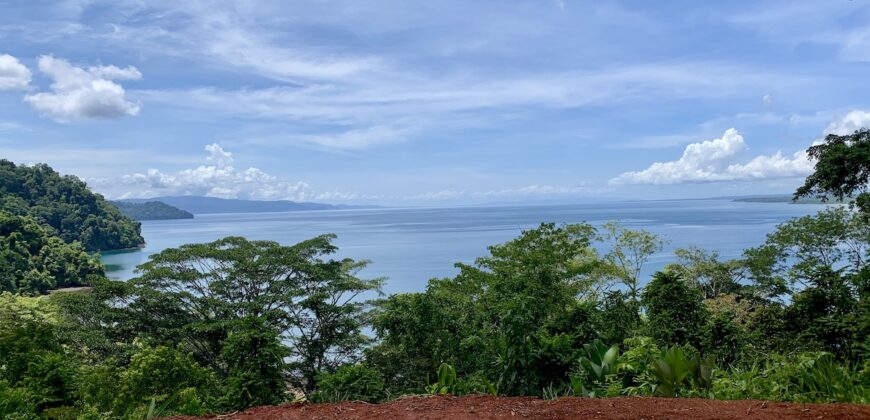 Spectacular Coastal Rainforest Estate Property