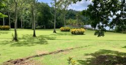 Spectacular Coastal Rainforest Estate Property