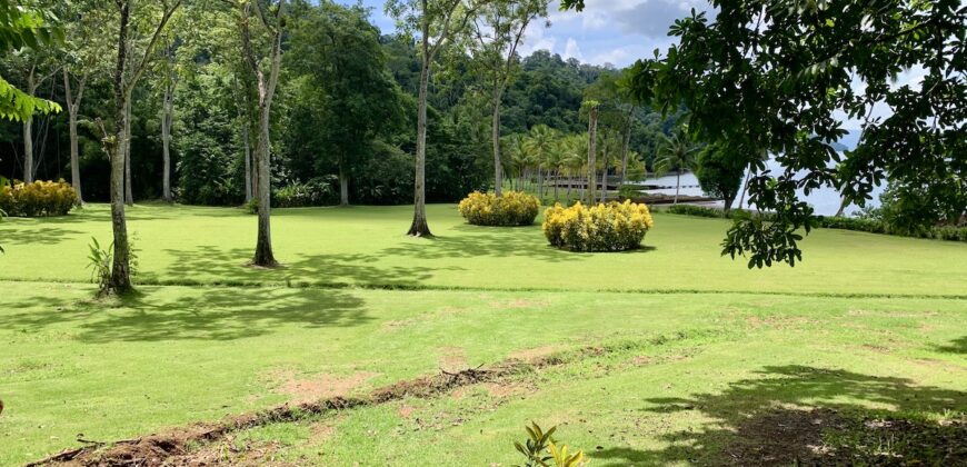 Spectacular Coastal Rainforest Estate Property