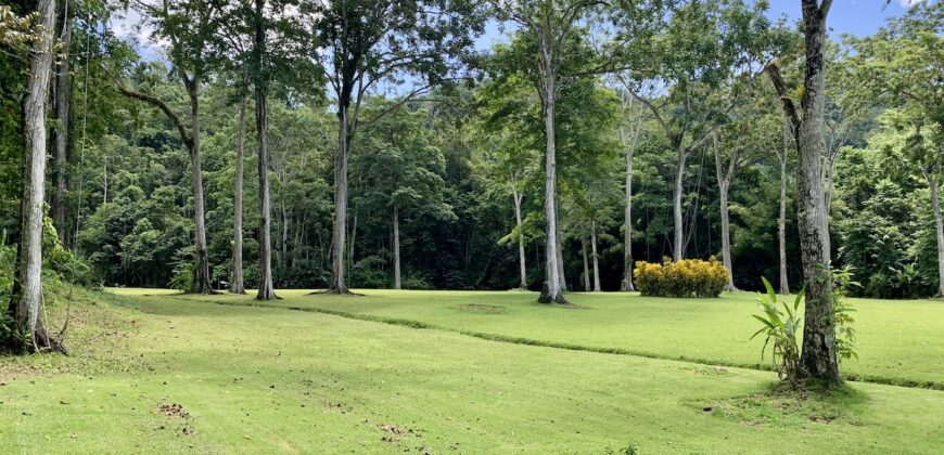 Spectacular Coastal Rainforest Estate Property