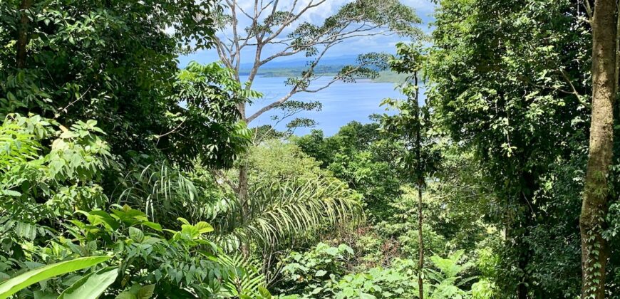 Spectacular Coastal Rainforest Estate Property