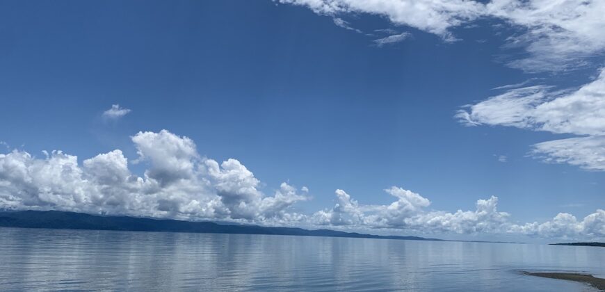 Titled Property Near The Golfo Dulce Coast