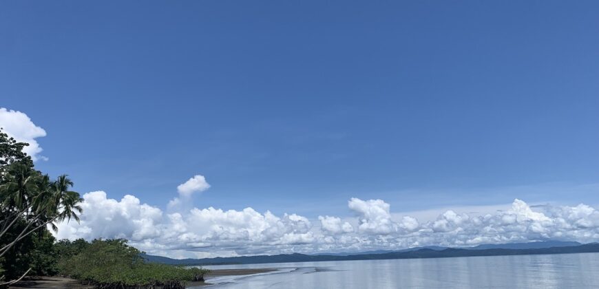 Titled Property Near The Golfo Dulce Coast