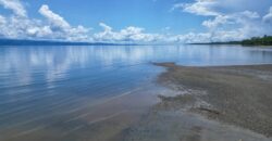 Titled Property Near The Golfo Dulce Coast