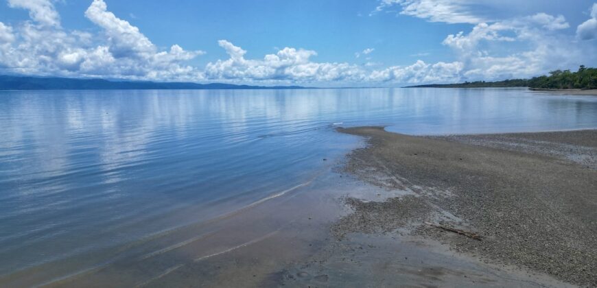 Titled Property Near The Golfo Dulce Coast