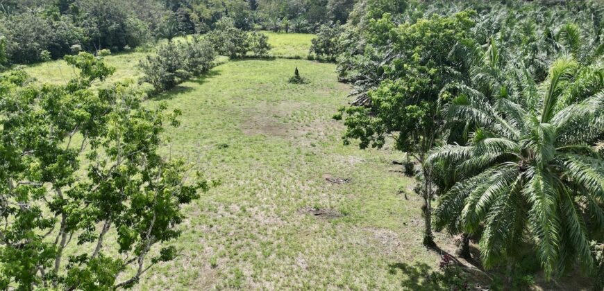 Titled Property Near The Golfo Dulce Coast