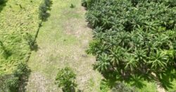 Titled Property Near The Golfo Dulce Coast