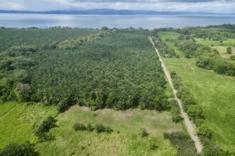 Titled Property Near The Golfo Dulce Coast