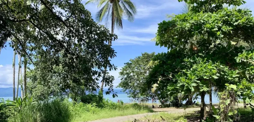 Titled Property Near The Golfo Dulce Coast