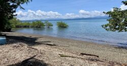 Titled Property Near The Golfo Dulce Coast