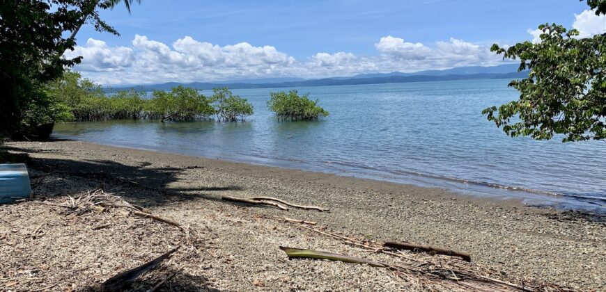 Titled Property Near The Golfo Dulce Coast