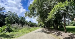 Titled Property Near The Golfo Dulce Coast