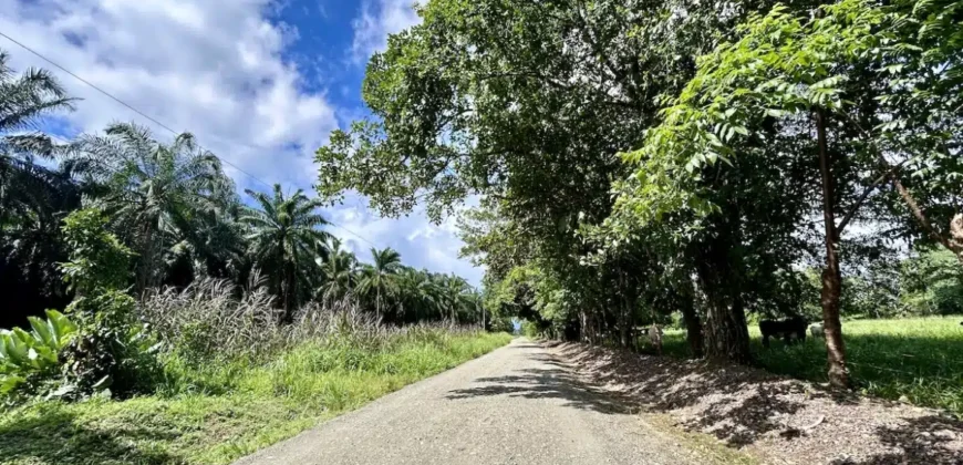 Titled Property Near The Golfo Dulce Coast