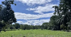 Titled Property Near The Golfo Dulce Coast