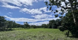 Titled Property Near The Golfo Dulce Coast