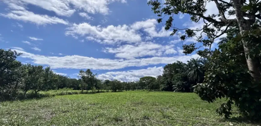 Titled Property Near The Golfo Dulce Coast