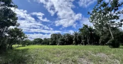 Titled Property Near The Golfo Dulce Coast