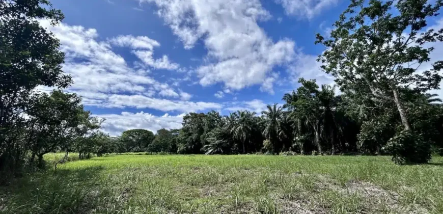 Titled Property Near The Golfo Dulce Coast