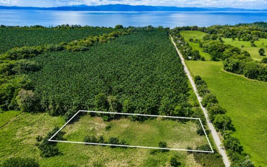 Titled Property Near The Golfo Dulce Coast