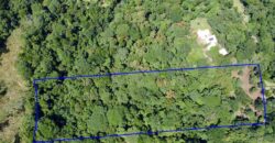 12 Acres of Rainforest Near Town and Nice Community