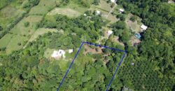 12 Acres of Rainforest Near Town and Nice Community