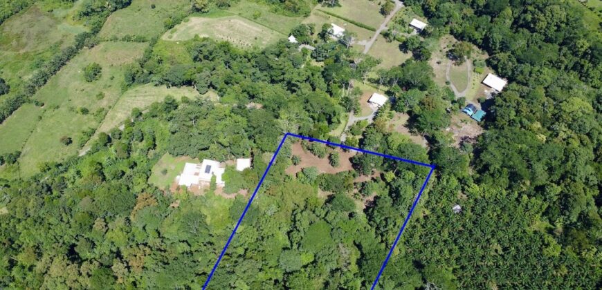 12 Acres of Rainforest Near Town and Nice Community
