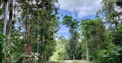 12 Acres of Rainforest Near Town and Nice Community