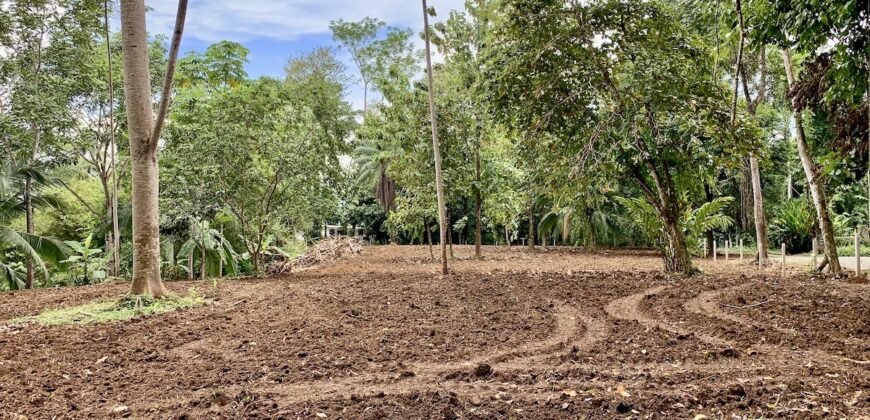 12 Acres of Rainforest Near Town and Nice Community