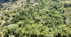 12 Acres of Rainforest Near Town and Nice Community