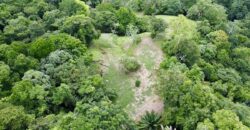 High Elevation Rainforest and Ocean View Property