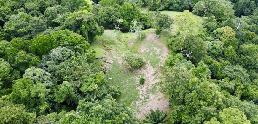 High Elevation Rainforest and Ocean View Property