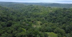 High Elevation Rainforest and Ocean View Property