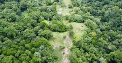 High Elevation Rainforest and Ocean View Property